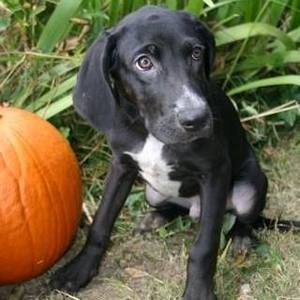 Meet your Posher, Alison